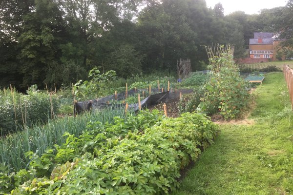 Knossington Allotments